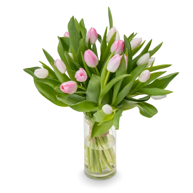 Kytice tulipánů